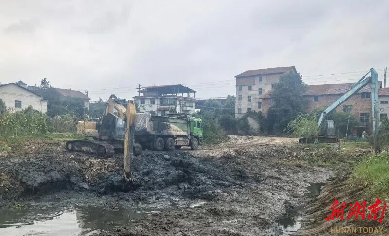 雁峰区金龙坪街道福龙湾社区:重塑李家塘 生态写新章