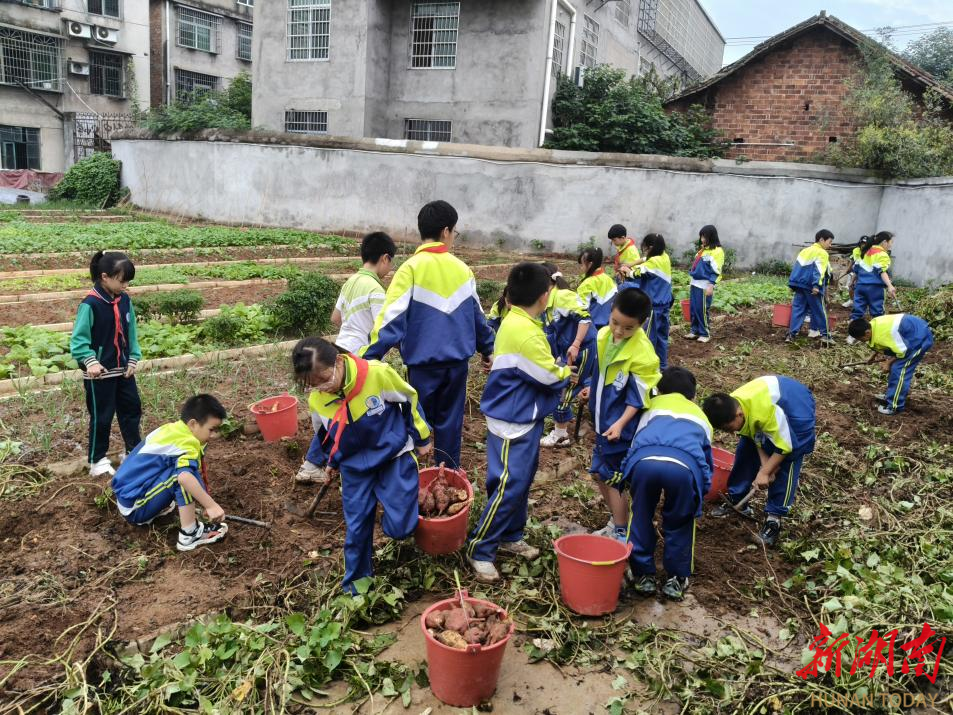 沅江市城南实验学校校长授课，不在教室在田间