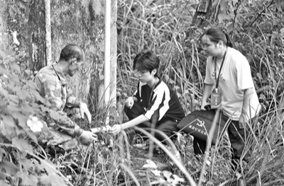 充分发挥“四种形态”层层设防作用