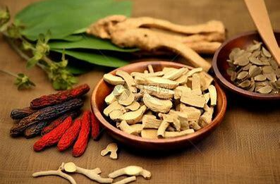 葛金文：新时代中医药高层次人才培育之道