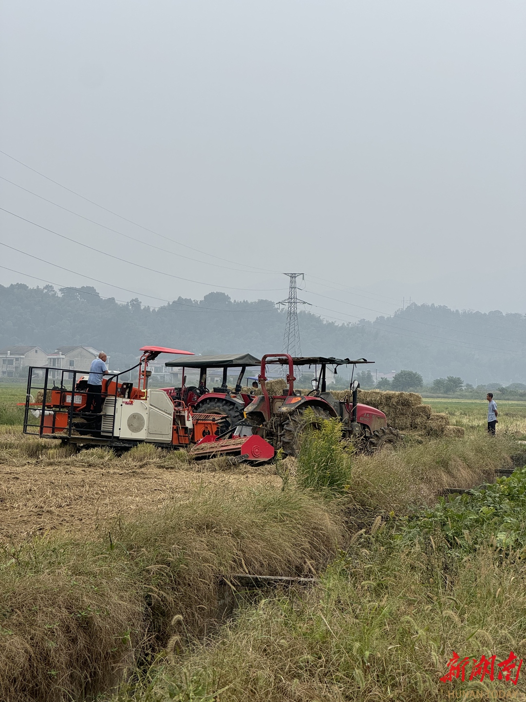 秸秆利用，石牛江镇牛剑桥村有招：“吃干榨净”，绿色循环