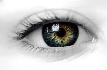 眼睛是唯一“不会长大的器官”？ 专家：成年后眼睛变大需重视