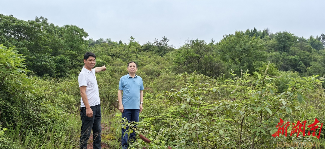 探访马岭旧战场