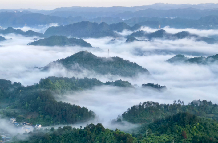 散文｜山风常绕我心头
