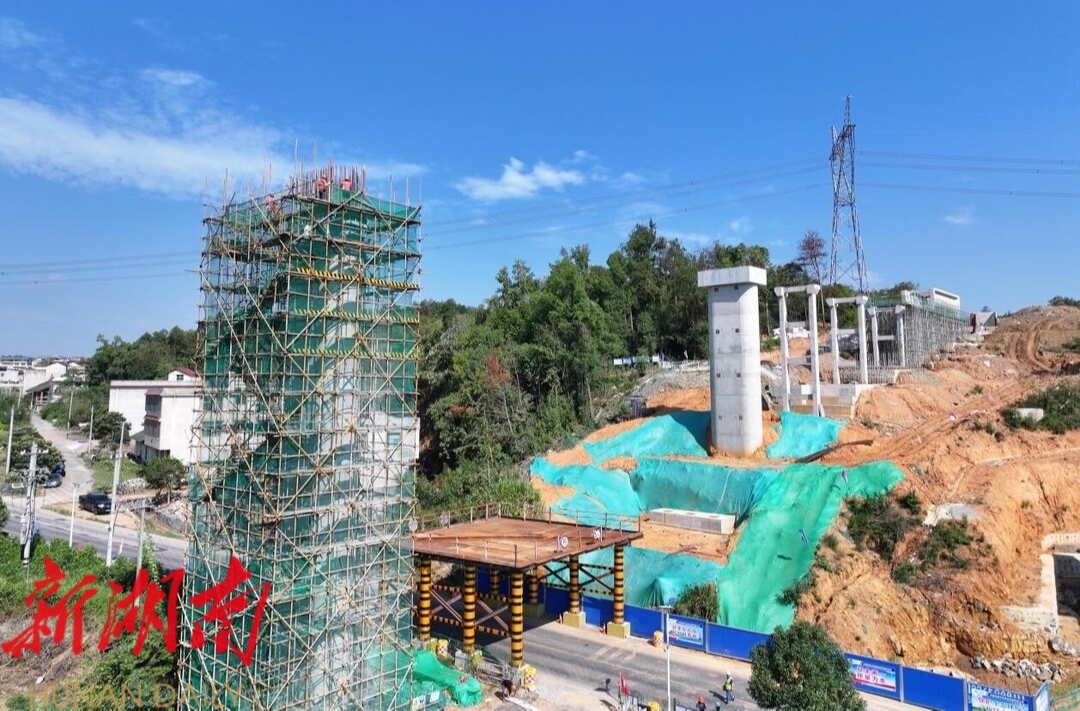 桃源县漳江垸水利管理委员会:除草护堤保安澜