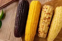 三步法教你识别坏玉米