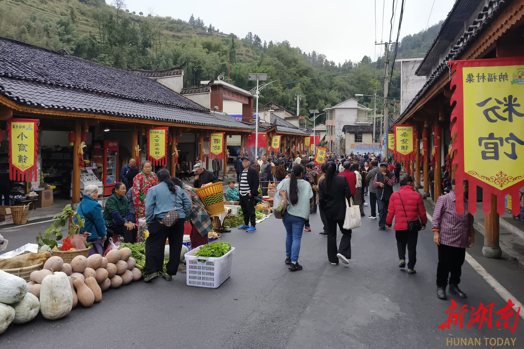 凤巢山下“村播”忙！保靖县纳福村集首播活动与直播助农培训同步启动 