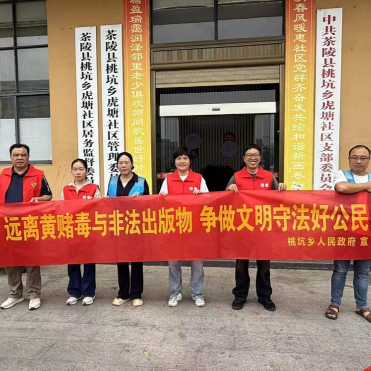 茶陵桃坑乡：“三措并举”织密扫黄打非“防护网”