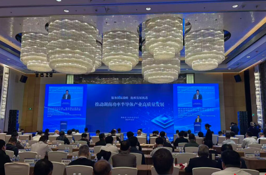 湖南功率半导体产业前景广阔@湖南日报要闻