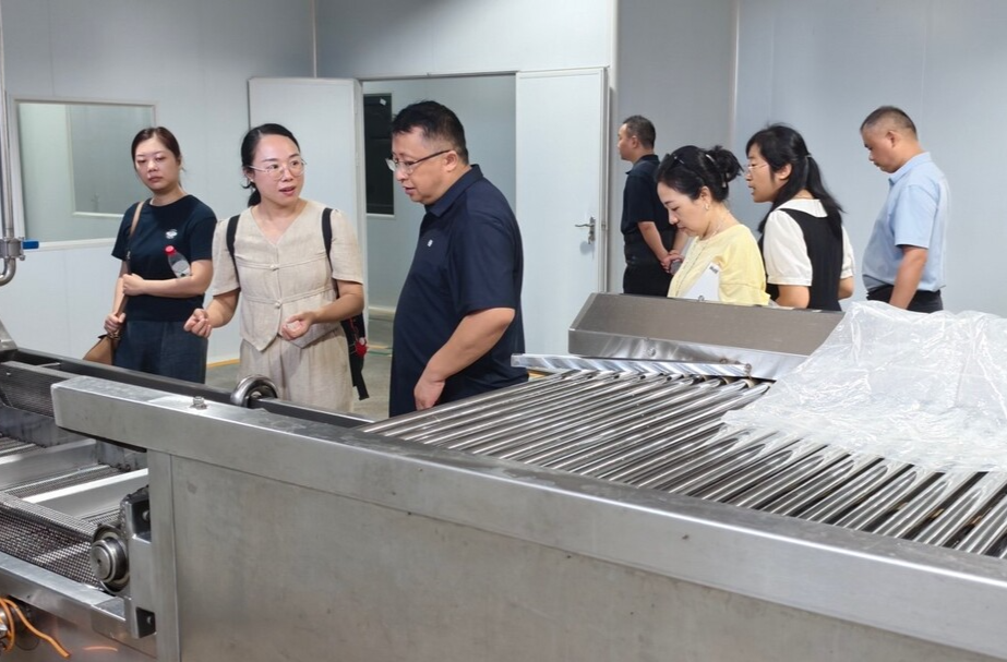 科技赋能猕猴桃产业：协同创新引领湘西绿色发展新范式