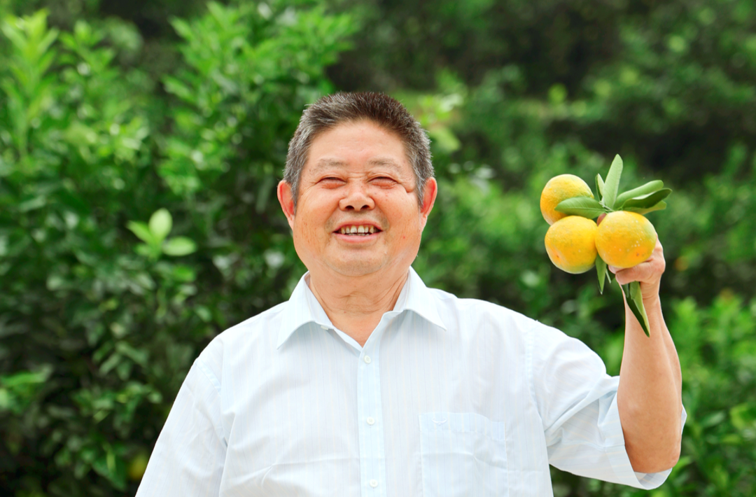 走进石小橘的世界 | “老高”与他的“百年橘园”梦