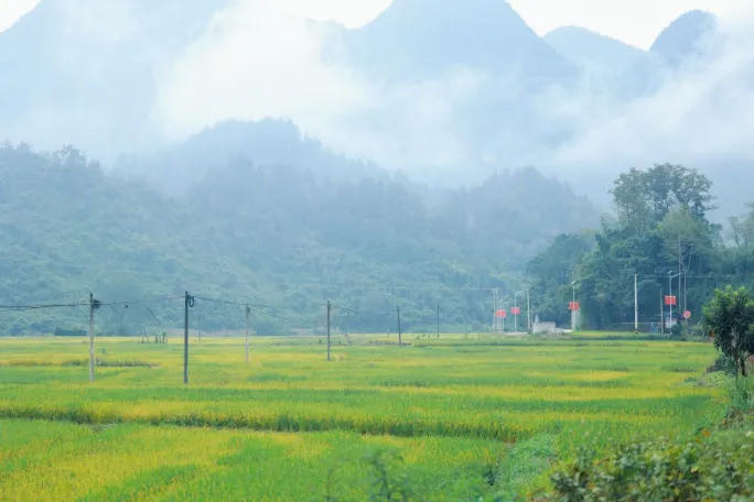 作为湖南首批改革试点区，张家界这片田野的稻谷为何格外香？