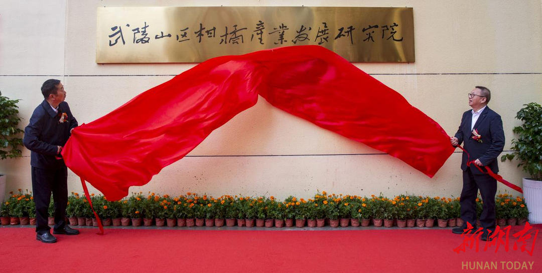 科技赋能橘香!保靖柑橘深加工项目投产暨武陵山区柑橘研究院成立