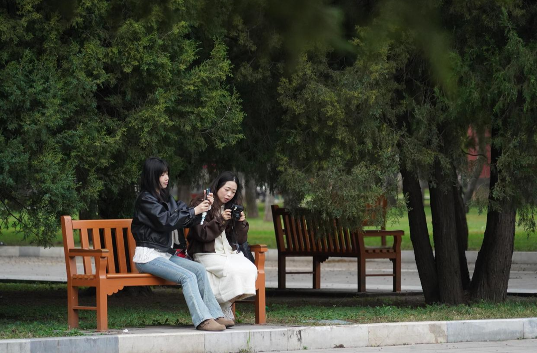 北京的秋天来了 200多张季节限定长椅等你拍照