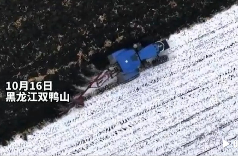 北大荒季节限定黑白配色上线
