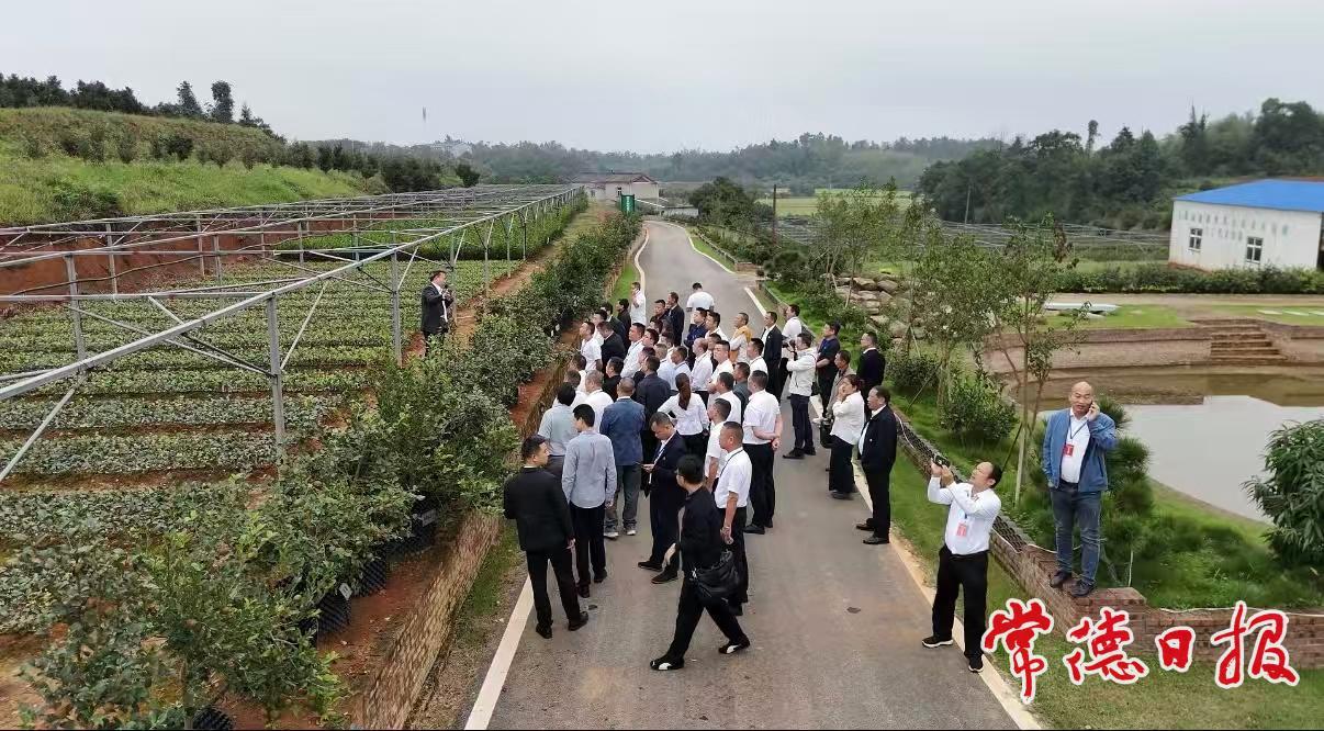 寻道·问策·破局——汉寿县村（社区）党组织书记湘江畔“充电赋能”