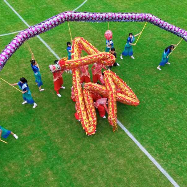 岳阳龙狮运动培训进校园