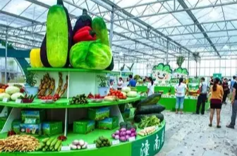 从“意念采摘”到“细胞造肉”，未来农业长啥样