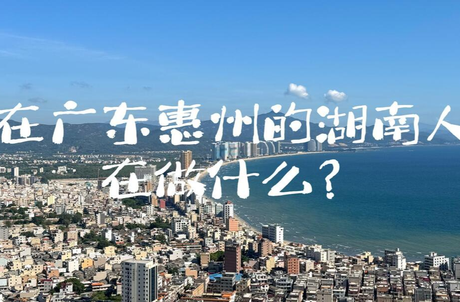 “淼”懂交通｜在广东的湖南人在做什么？④