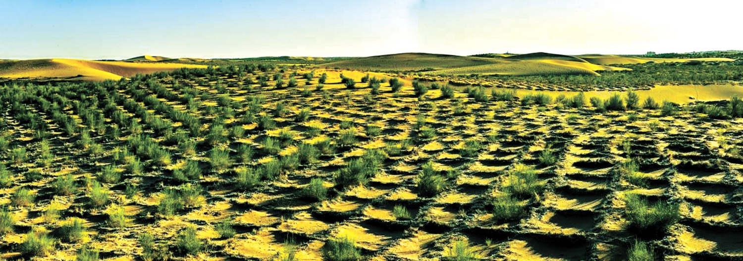 “三北”工程：促农护牧兴林富民的全球生态治理典范