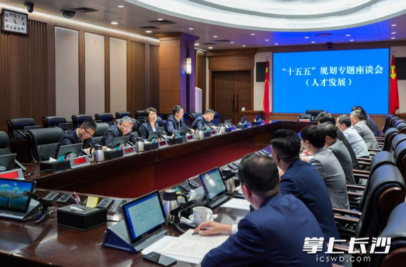 吴桂英围绕人才发展主持召开“十五五”规划专题座谈会