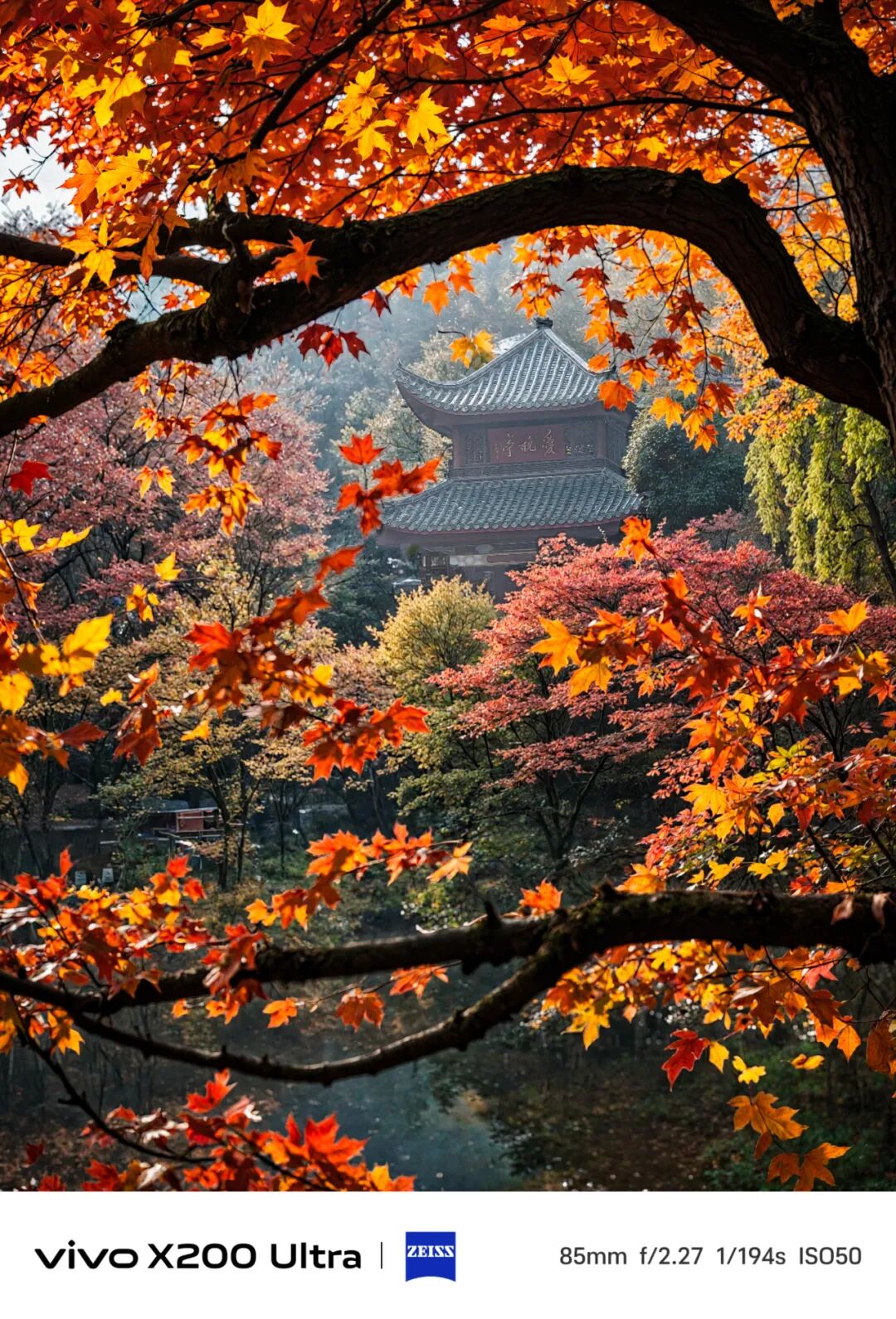 艺评｜阿诺：算法重塑镜头——论AI视效的摄影革命与技术平权时代的前期价值回归