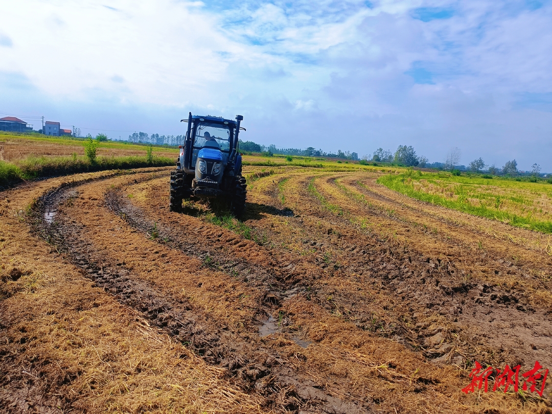 澧县如东镇：“源头预防+精准管控” 提升秸秆综合利用效能