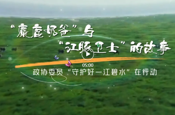 “麋鹿奶爸”与“江豚卫士” | 政协1453履职故事②