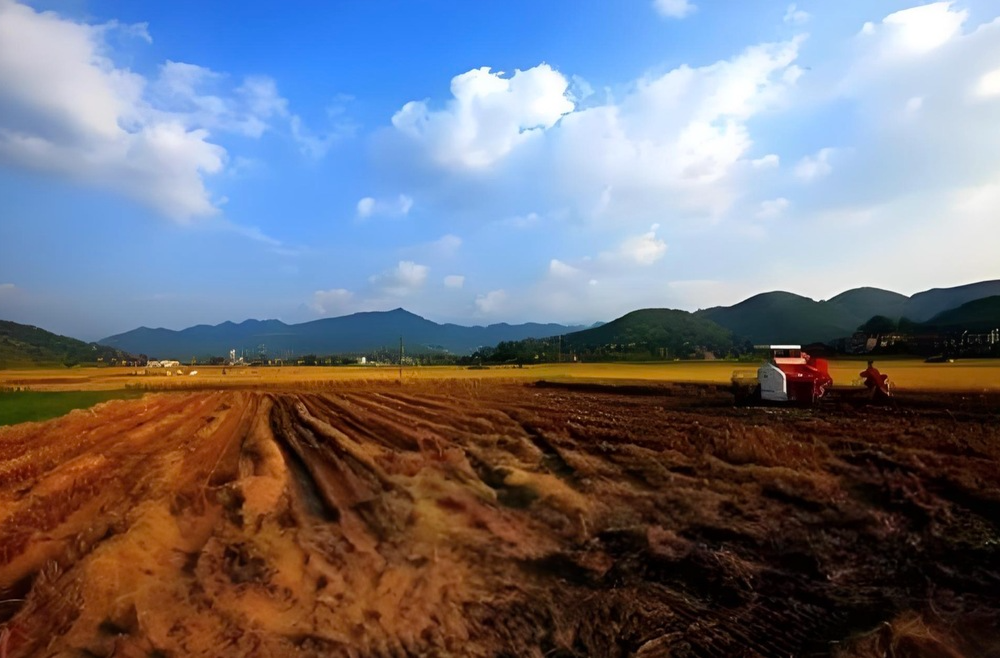湖南出台首部省直管土地资产处置办法