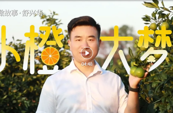 舒兴华：小橙大梦丨政协1453履职故事③