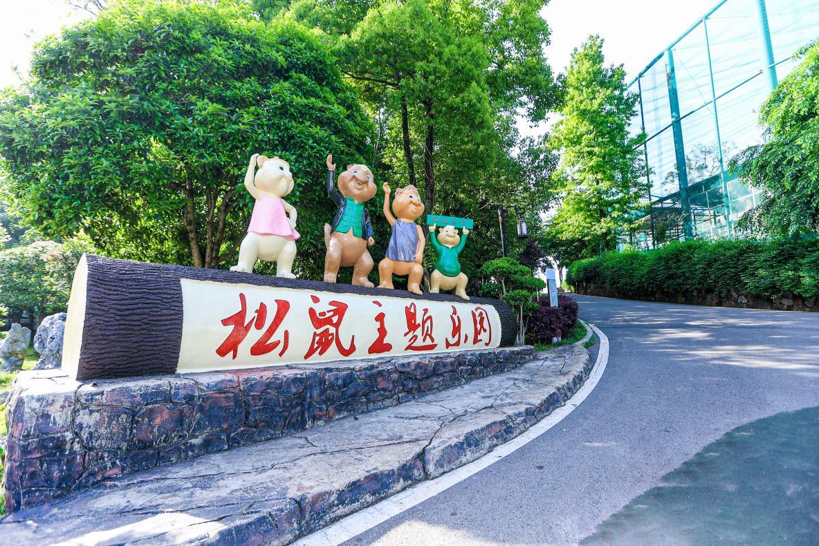 岁岁重阳添雅韵 白箬秋盛待君来——2025白箬铺镇重阳节系列活动10月31日启幕