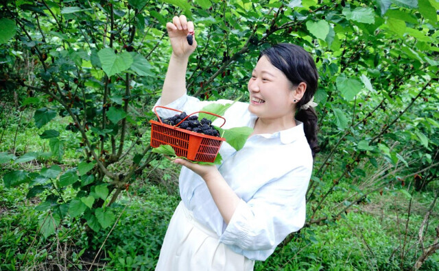 “创新创业印痕”之一： 肖文君的“玩劲”