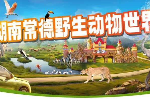 奔向动物王国！2025常德野生动物世界走娃报名了