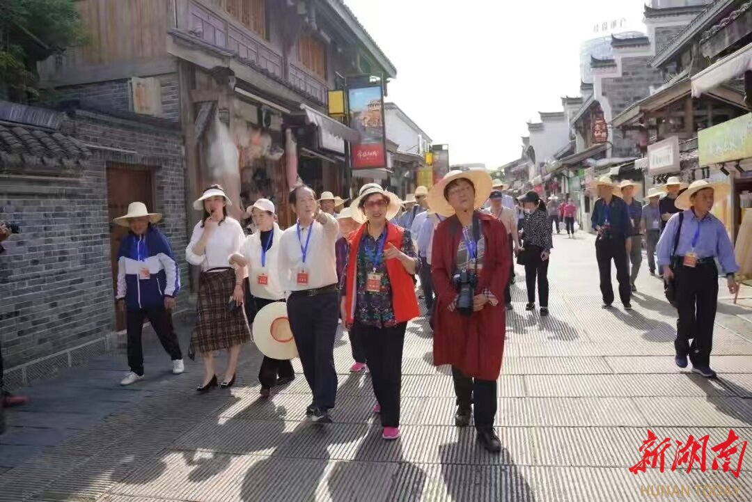 常德：三维聚力拓新局 银发思政启新篇