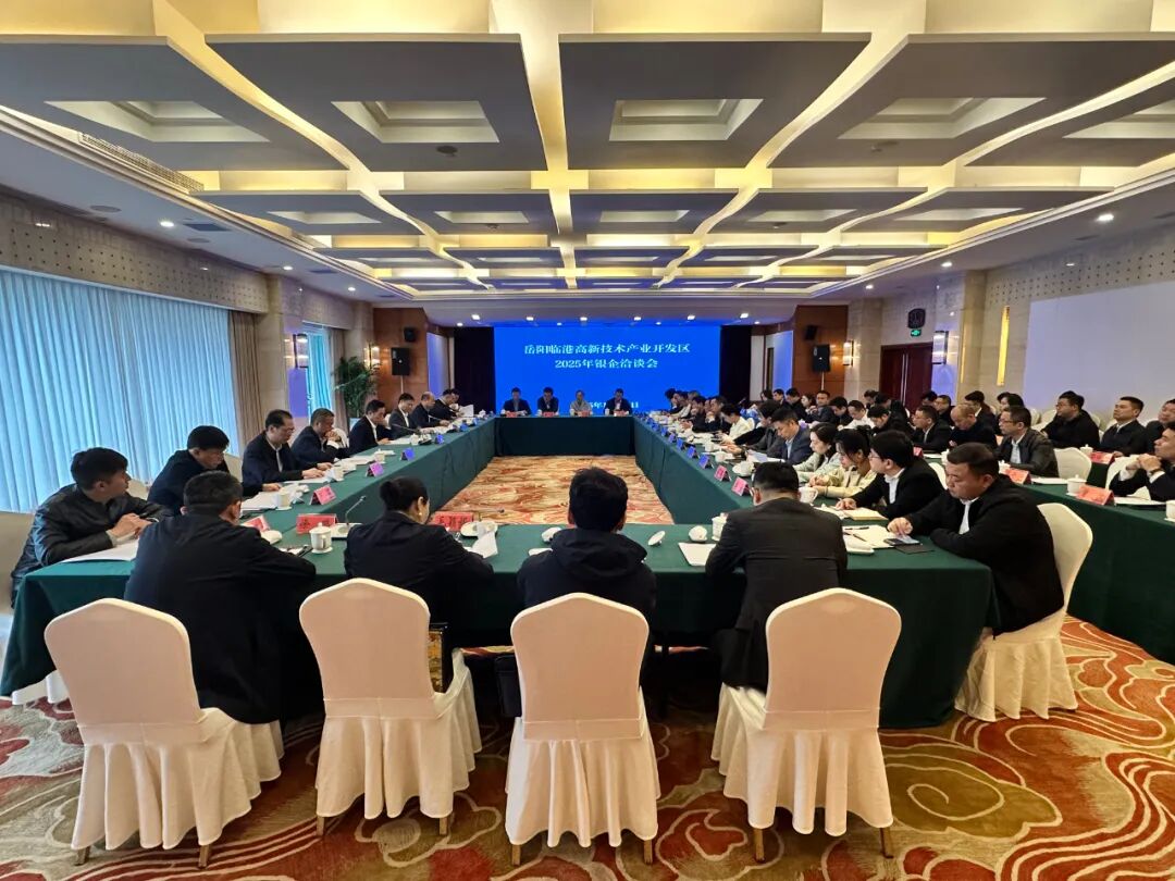 搭建银企桥梁 激活发展动能 岳阳临港高新区2025年银企洽谈会召开