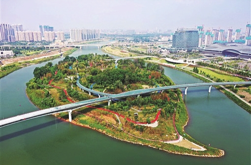 张永中：后悔折断一秆苇穗