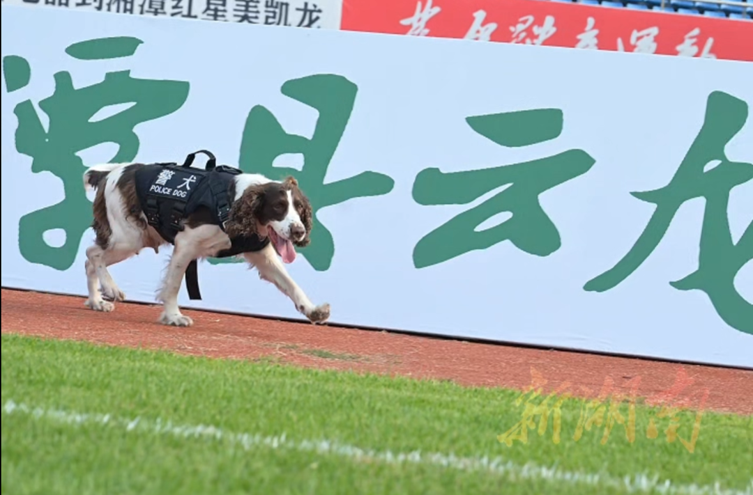 湘超要开踢,先过它这关 | 汪Sir出更