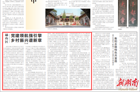 赫山区：党建领航强引擎 乡村振兴谱新章|湖南日报