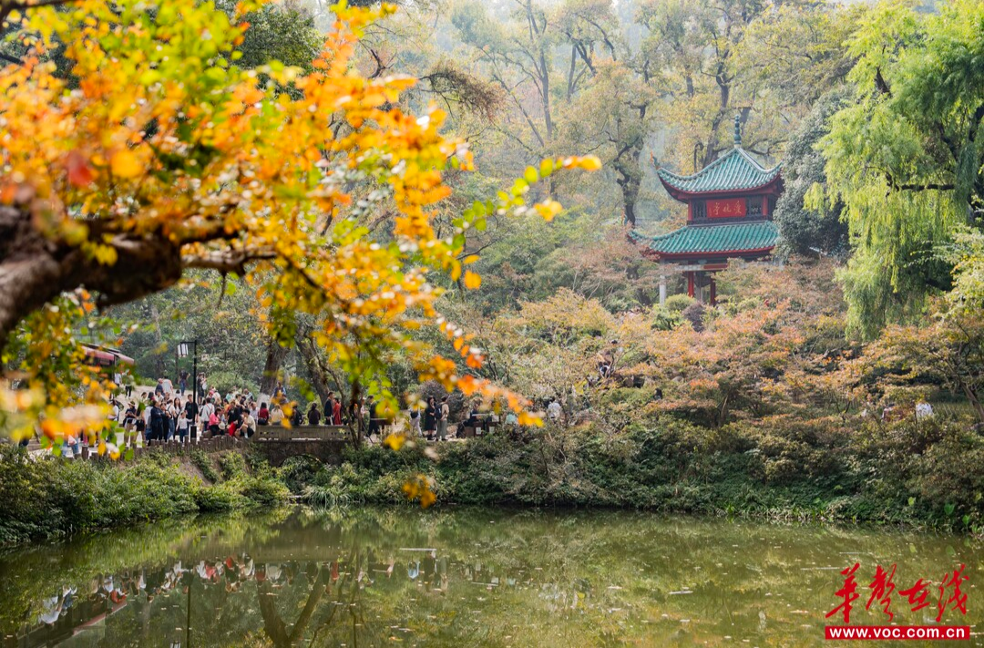 赏秋正当时！湖南登山赏景攻略来了