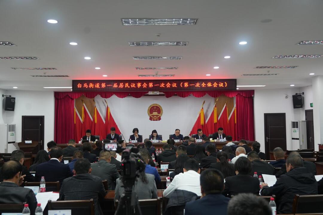 湘江新区白马街道：第一届居民议事会落幕，48名代表共绘基层治理“幸福画卷”