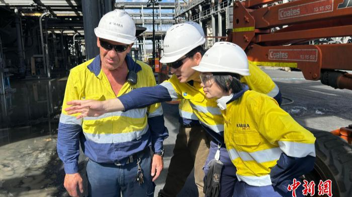 点石成“金”破局开路 无党派人士陈雯创新守护中国工业“粮仓”