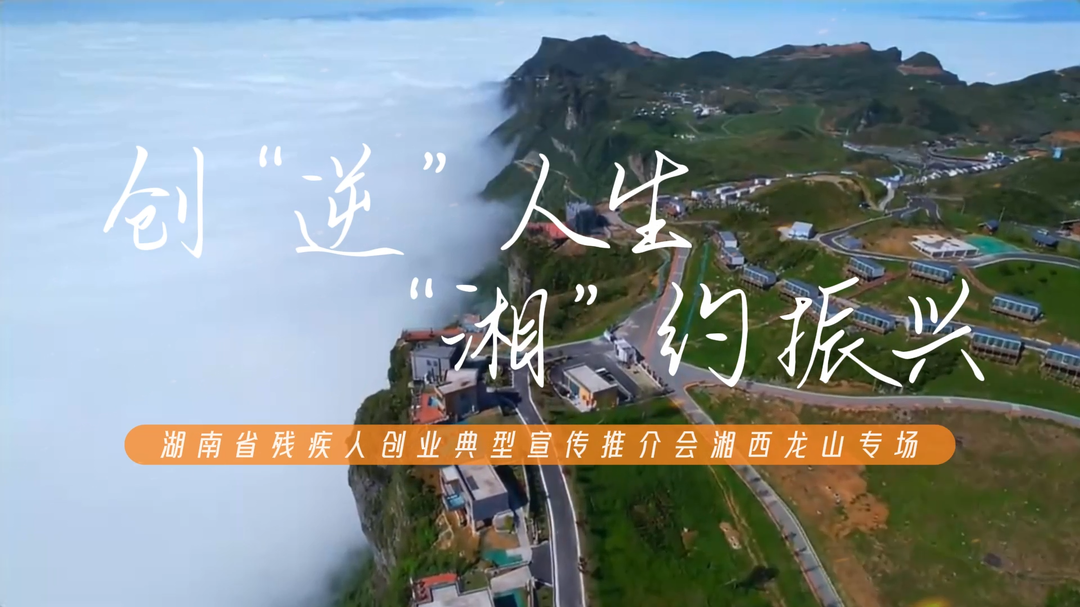 创“逆”人生 “湘”约振兴 | 这场创业典型推介会，藏着湖南残疾人的硬核奋斗力