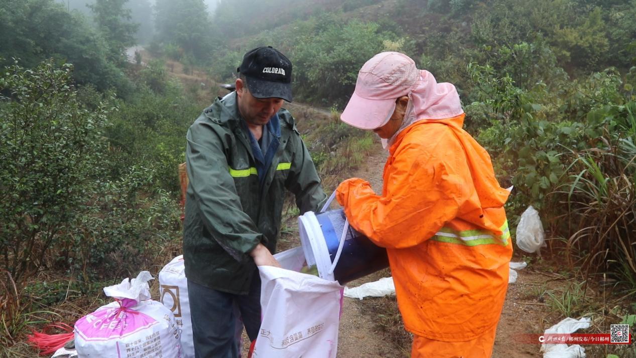 永兴县全速构建油茶产业高质量发展新格局