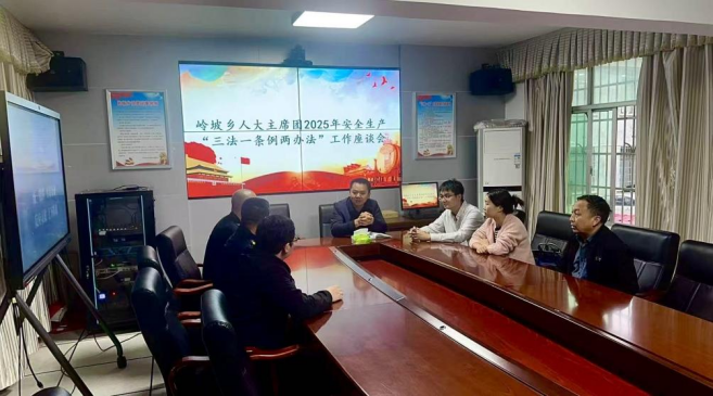 衡山县岭坡乡：聚力“三法一条例两办法”，筑牢安全生产防线