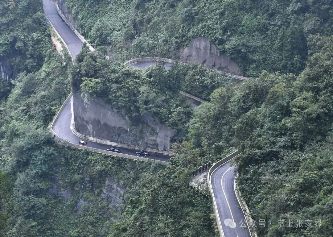 落子张家界：AI赛事与城市的双向赋能之路