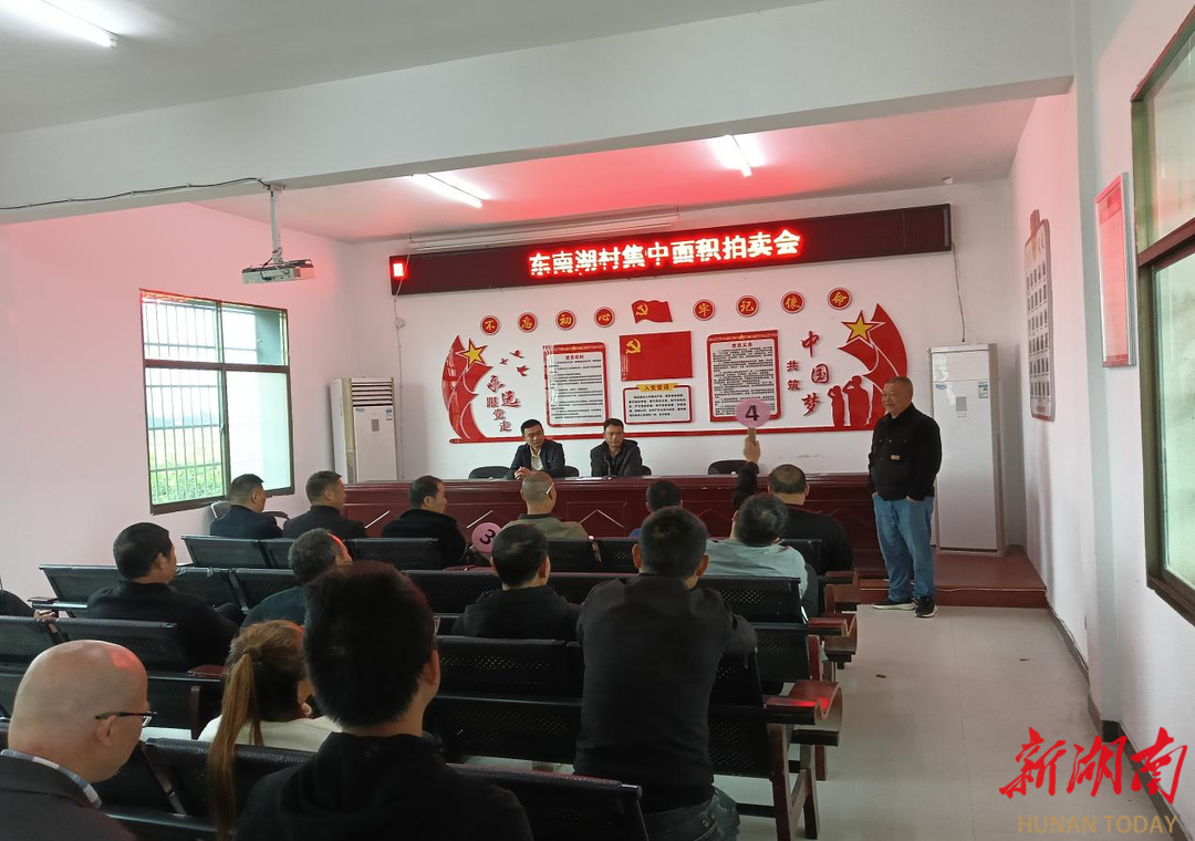 224亩土地集中拍租，溢价15%！大通湖区这场竞价会激活乡村振兴一池春水