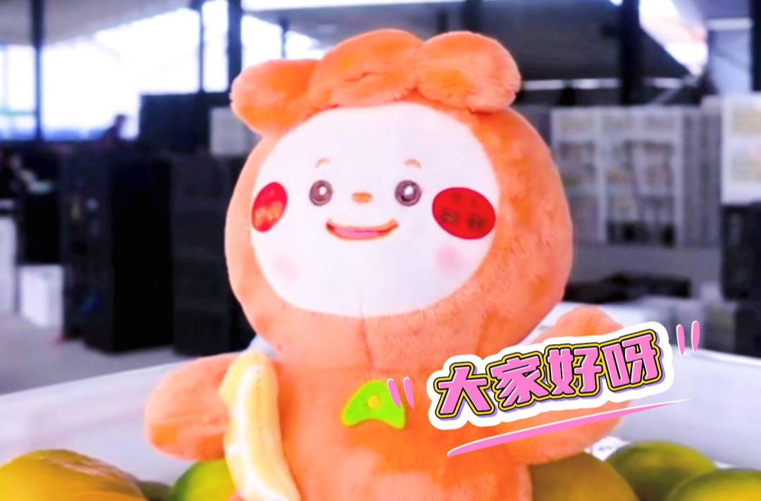 走进石小橘的世界｜甜蜜升级 路通八方 柑橘老产区活力焕新