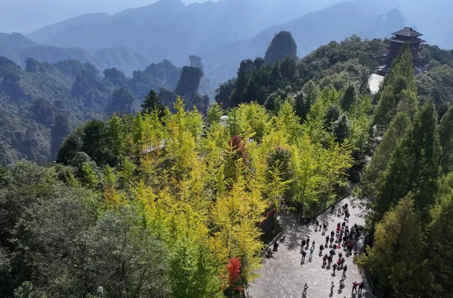今日霜降 | 三湘大地：农忙正酣 秋韵正好