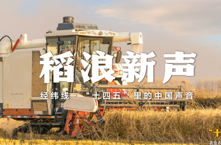 经纬线·稻浪新声