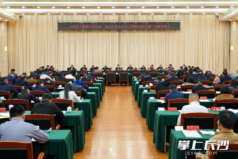 长沙市政协“重构产业生态，奋力打造长沙人工智能应用之城”专题协商会议召开 吴桂英讲话